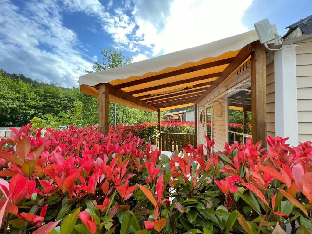 Camping Igara De San Sebastián Exterior photo